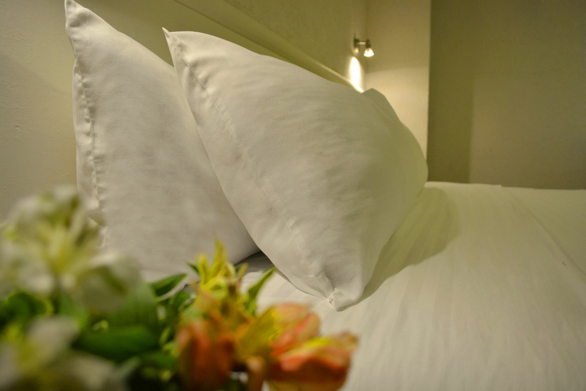 Eco Express Hotel Zamora Zamora de Hidalgo Bagian luar foto