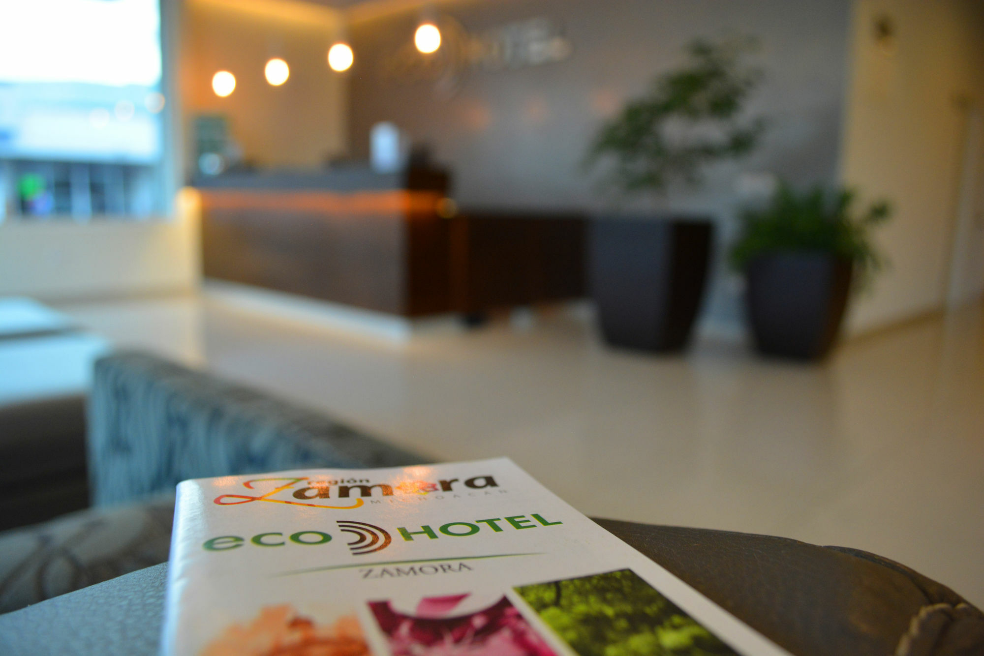 Eco Express Hotel Zamora Zamora de Hidalgo Bagian luar foto